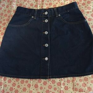 Blue Family skirt